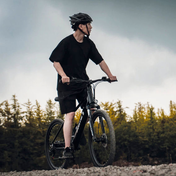 Fortis 27.5in Hybrid Mountain eBike