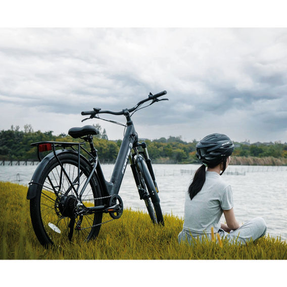 Fortis 36V Step-Through Shimano eBike