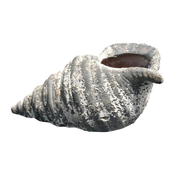 Oceanic White Conch Shell 40cm