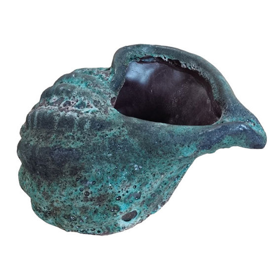Oceanic Green Sea Shell 23cm