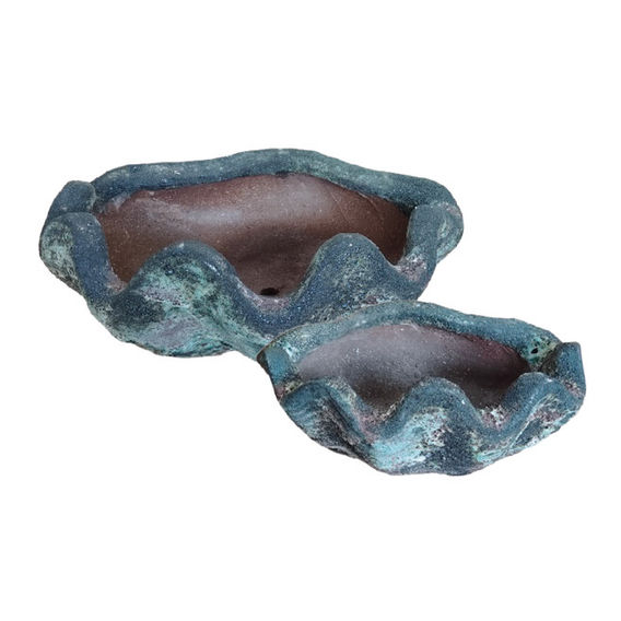 Oceanic Green Clam Shells Set of 2
