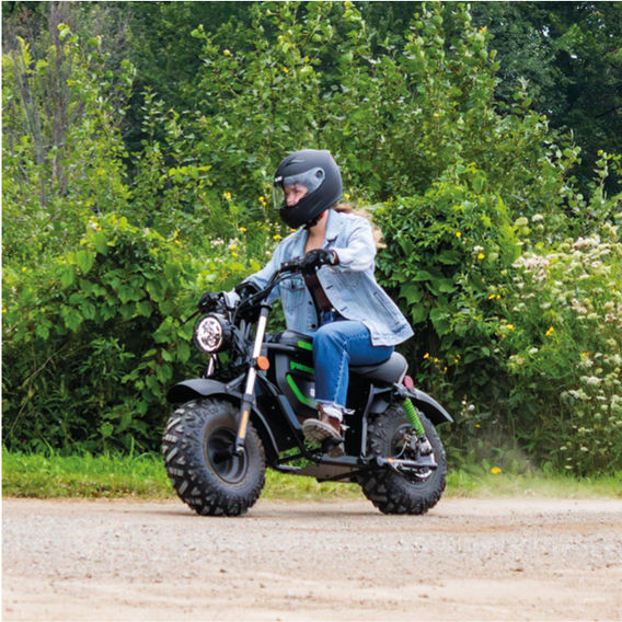 Greenworks Stealth Series Youth Mini Bike Kit Greenworks Stealth Series Youth Mini Bike Kit