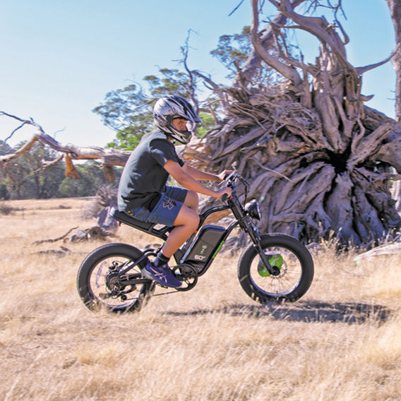 Greenworks Venture Series 20